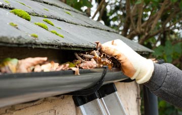gutter cleaning South Knighton